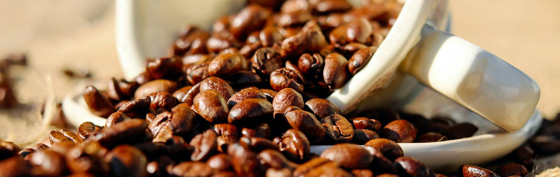 Contactanos Ancestral café